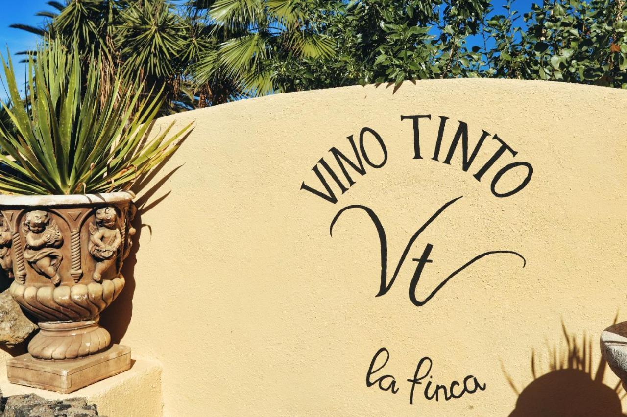 Finca Vino Tinto 4 Icod De Los Vinos Exterior photo